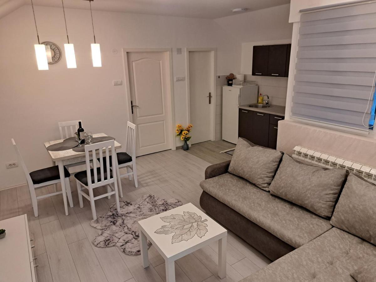 Appartamento Apartman Miva Belgrado Esterno foto