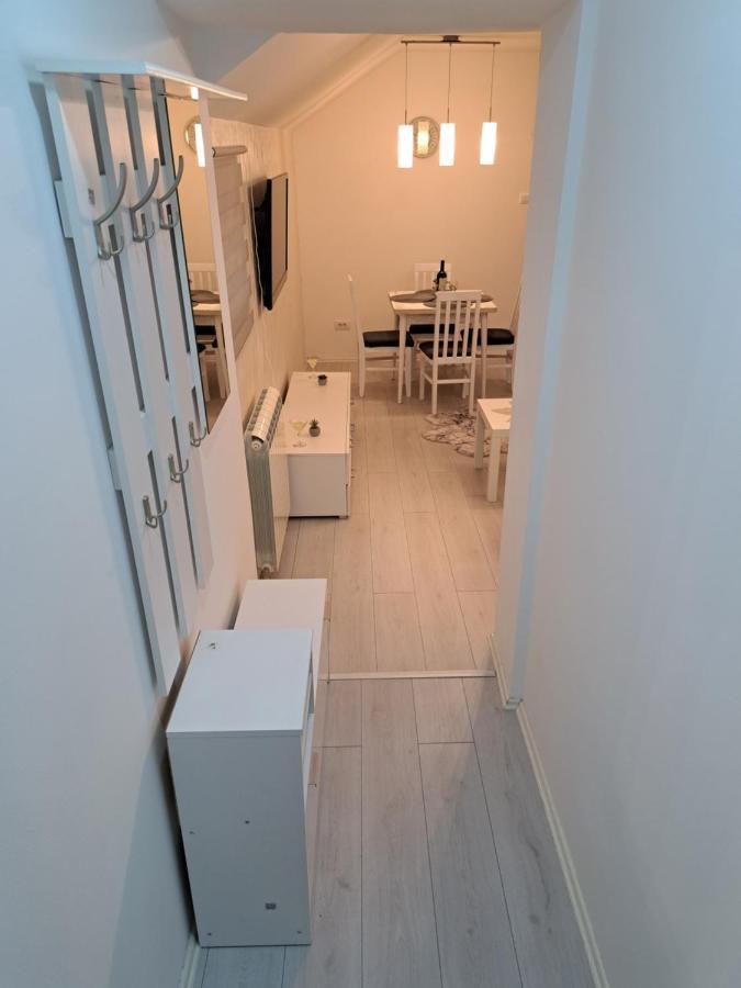 Appartamento Apartman Miva Belgrado Esterno foto